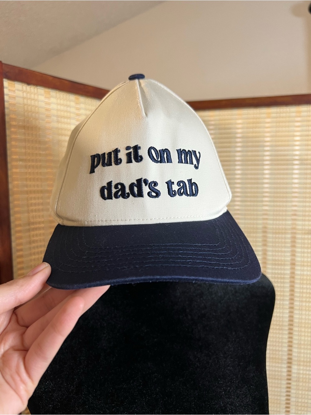 💳 Funky Junque "Put it on my dad's tab" Snapback Hat 💳